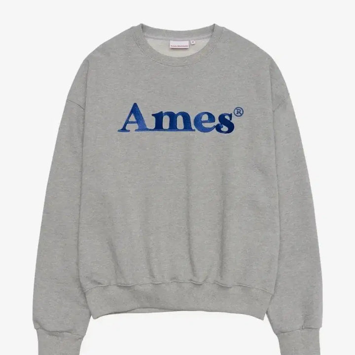 [BUNJANG] AMES Gray Logo Sweatshirt (L) / [새제품]아메스 그레이 로고 맨투맨 L