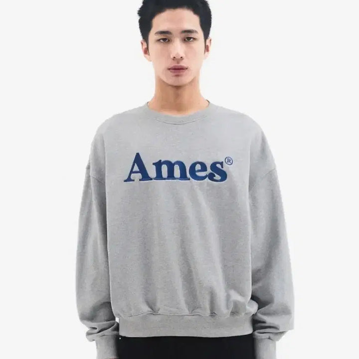 [BUNJANG] AMES Gray Logo Sweatshirt (L) / [새제품]아메스 그레이 로고 맨투맨 L