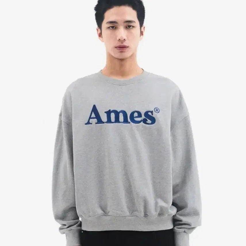 [BUNJANG] AMES Gray Logo Sweatshirt (L) / [새제품]아메스 그레이 로고 맨투맨 L