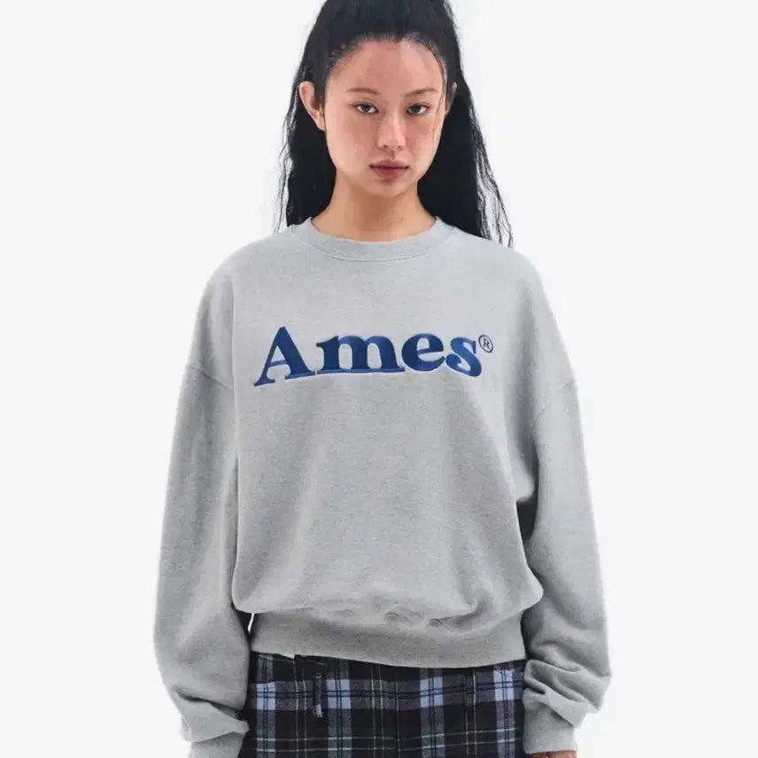 [BUNJANG] AMES Gray Logo Sweatshirt (L) / [새제품]아메스 그레이 로고 맨투맨 L