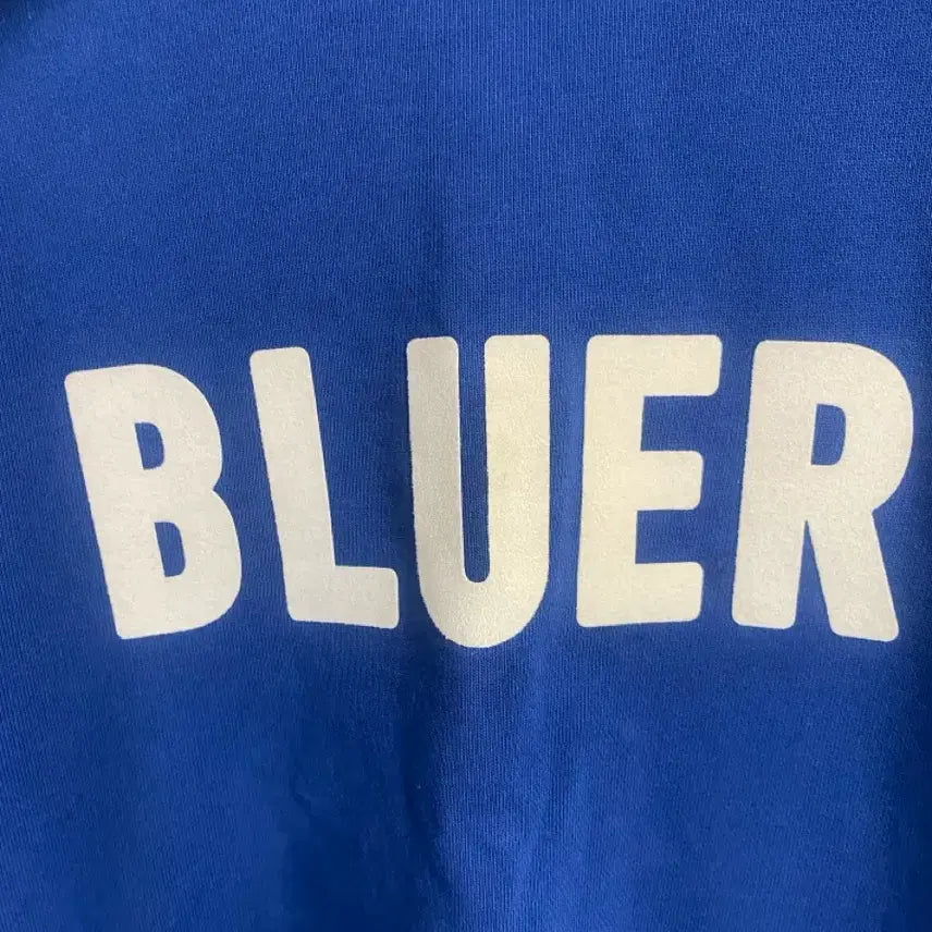 [BUNJANG] NAMERCLOTHING Blue-er Hoodie (L Size) / [NAMERCLOTHING] 네이머클로딩 블루어 후드 L사이즈