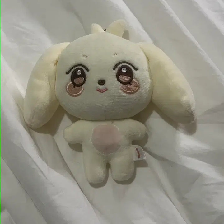 에이티즈 인형 애니티즈 햇몽이 여상인형 판매