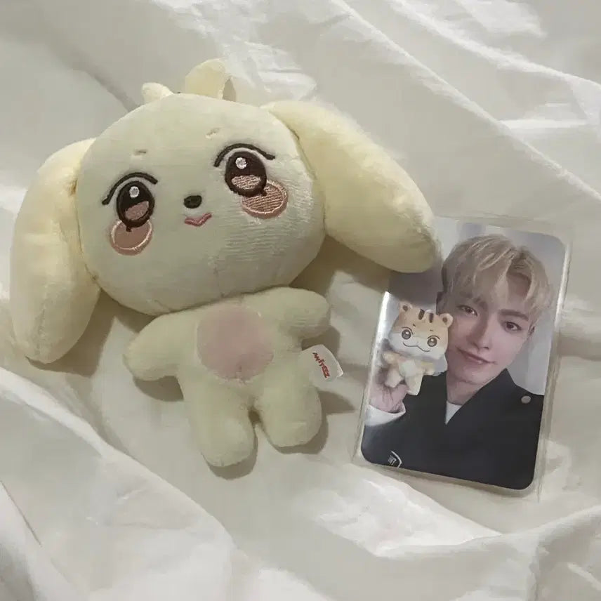 에이티즈 인형 애니티즈 햇몽이 여상인형 판매