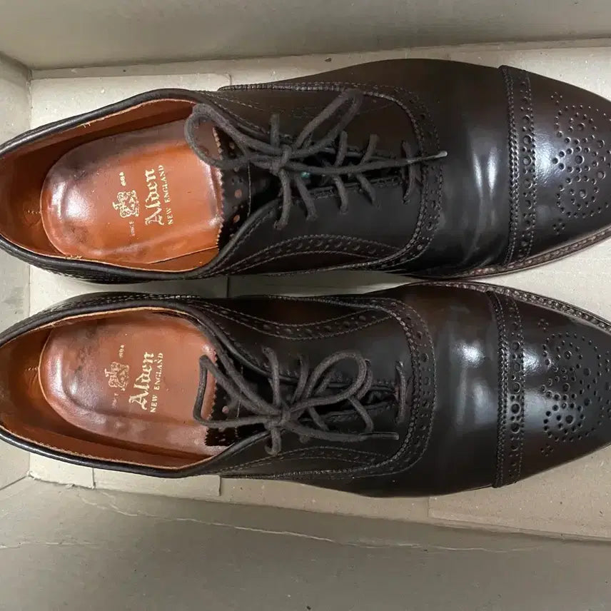 [BUNJANG] Alden 9084 Cigar Shell Cordovan Shoes / 알든 9084 시가쉘 코도반 8E