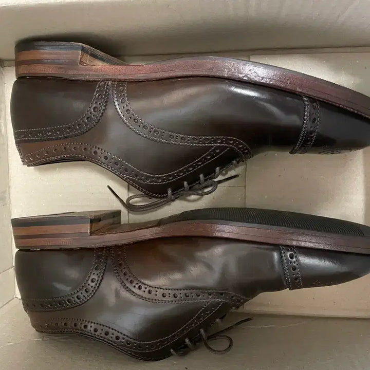 [BUNJANG] Alden 9084 Cigar Shell Cordovan Shoes / 알든 9084 시가쉘 코도반 8E