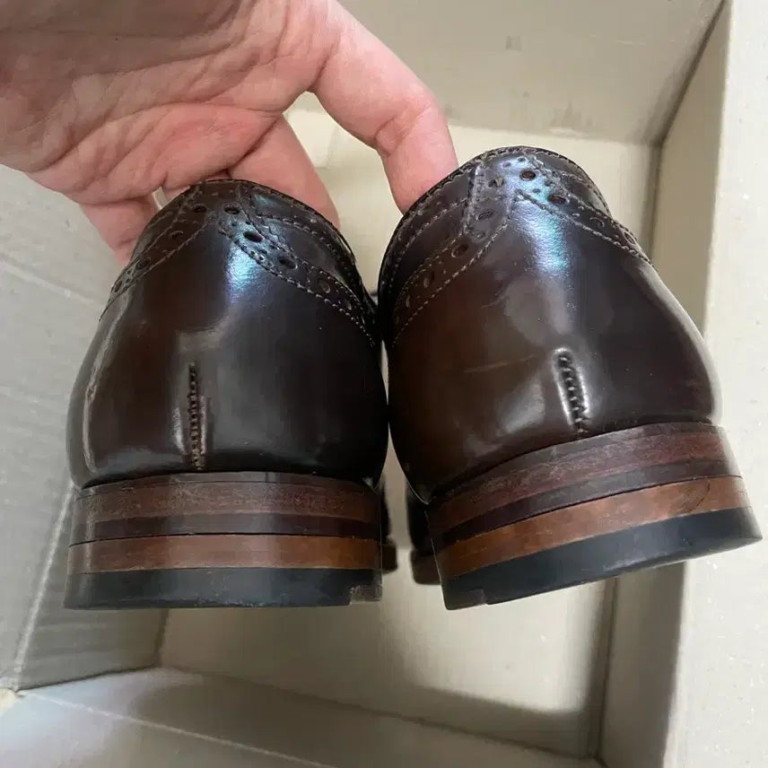 [BUNJANG] Alden 9084 Cigar Shell Cordovan Shoes / 알든 9084 시가쉘 코도반 8E