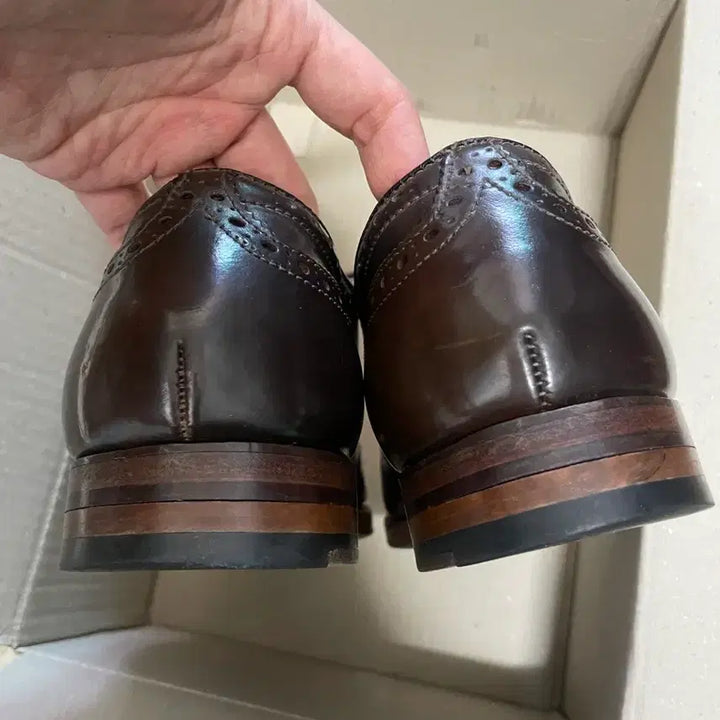 [BUNJANG] Alden 9084 Cigar Shell Cordovan Shoes / 알든 9084 시가쉘 코도반 8E