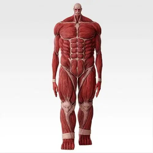 [BUNJANG] Attack on Titan Colossal Titan Figure / 진격의 거인 초대형 거인 미개봉