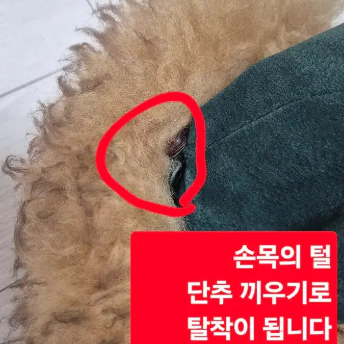 [BUNJANG] Joinus Suede Mouton Coat 66 / 조이너스 스웨이드 무스탕 코트 66