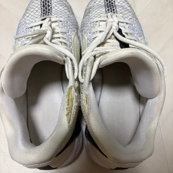 [BUNJANG] Sabrina 1 Sneakers / 사브리나1