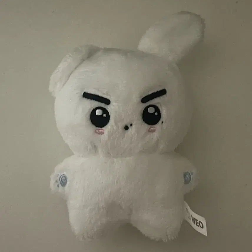 [BUNJANG] The Boyz Younghoon Unsealed / 김빵식 더보이즈 김영훈