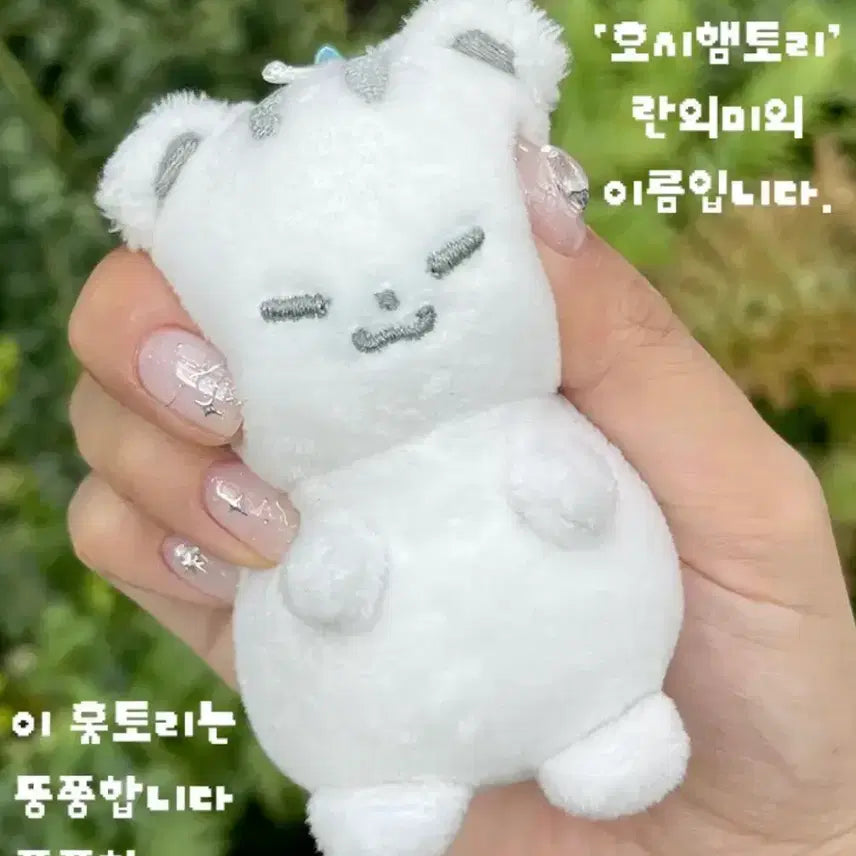 [BUNJANG] SEVENTEEN Hoshi Hoji &amp; Hottori 10cm Doll / 미개봉)세븐틴 호시 10cm 인형 호찌, 홋토리 양도합니다