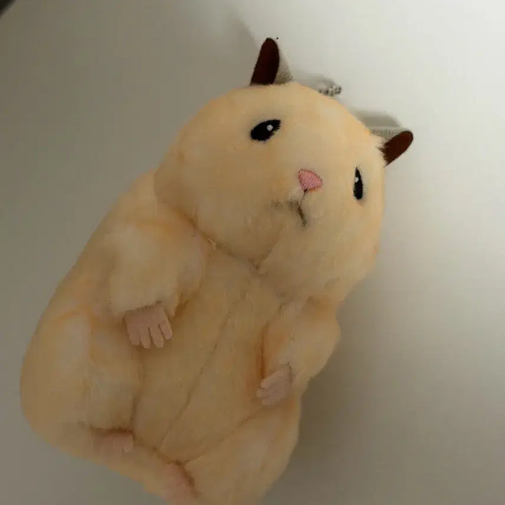 [BUNJANG] ZB1 Sung Hanbin Skerocku Figure / (마지막 가격내림)제베원 성한빈 뚱중햄 스케로쿠(일본 정품)