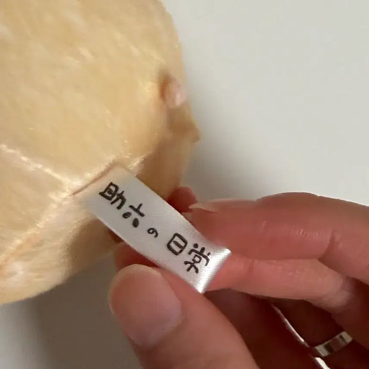 [BUNJANG] ZB1 Sung Hanbin Skerocku Figure / (마지막 가격내림)제베원 성한빈 뚱중햄 스케로쿠(일본 정품)