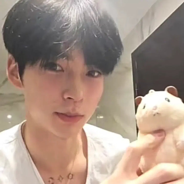 [BUNJANG] ZB1 Sung Hanbin Skerocku Figure / (마지막 가격내림)제베원 성한빈 뚱중햄 스케로쿠(일본 정품)