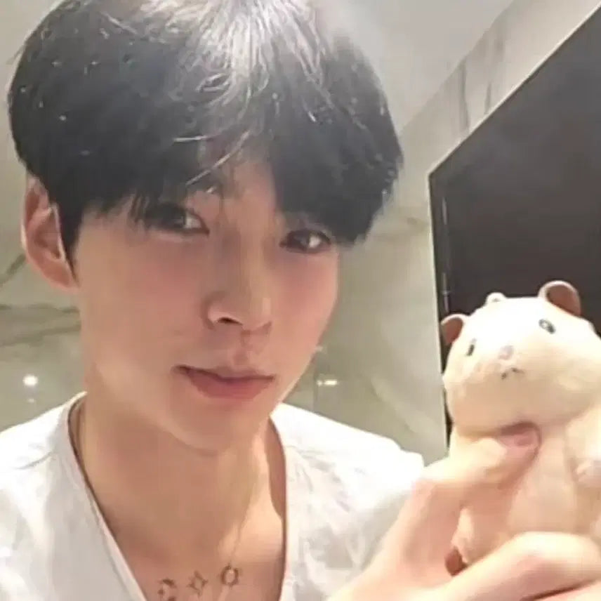 [BUNJANG] ZB1 Sung Hanbin Skerocku Figure / (마지막 가격내림)제베원 성한빈 뚱중햄 스케로쿠(일본 정품)