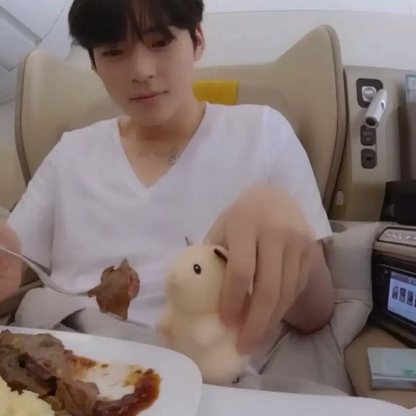 [BUNJANG] ZB1 Sung Hanbin Skerocku Figure / (마지막 가격내림)제베원 성한빈 뚱중햄 스케로쿠(일본 정품)