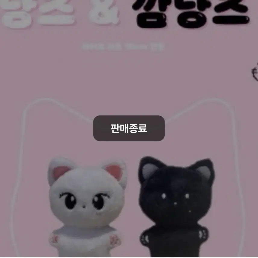 [SOLD OUT] 아이브 리즈 10cm 인형 냥즈 미개봉 양도합니다