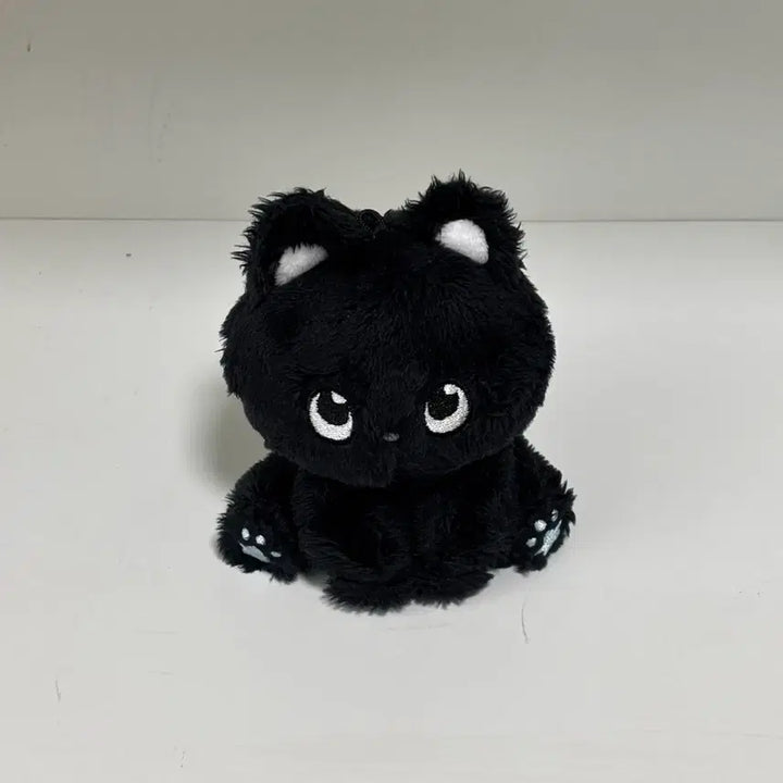 [BUNJANG] RIIZE Wonbin Nyanbbi Plush Doll / 라이즈 원빈 인형 앉은 냥삐