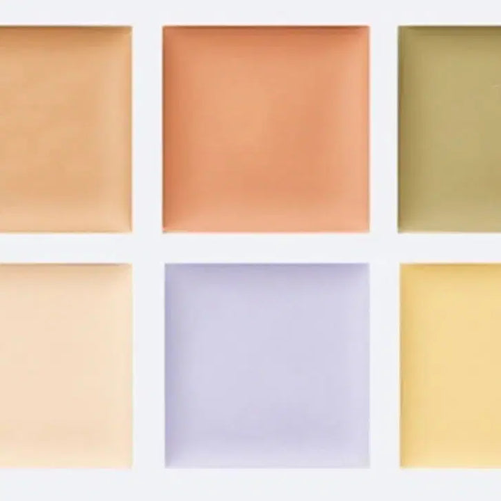 [BUNJANG] The Saem Concealer Palette / 더샘 컨실러 팔레트 10개