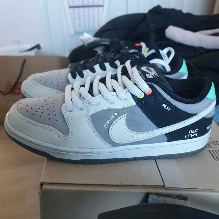 [BUNJANG] Nike Dunk SB Camcorder / 260)나이키 덩크 sb 캠코더