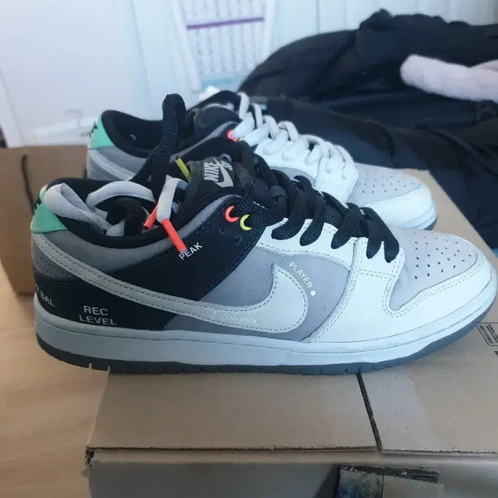 [BUNJANG] Nike Dunk SB Camcorder / 260)나이키 덩크 sb 캠코더