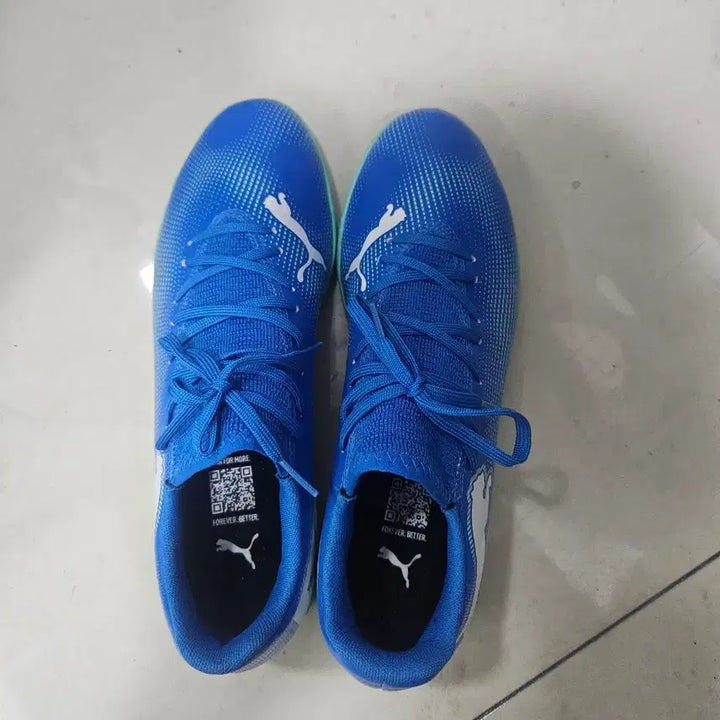 [BUNJANG] Puma Soccer Cleats / 상태 S급 정품 푸마 축구화 풋살화