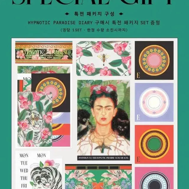 [BUNJANG] Eco Soul Hypnotic Diary Set / 에코드소울 힙노틱 다이어리 세트