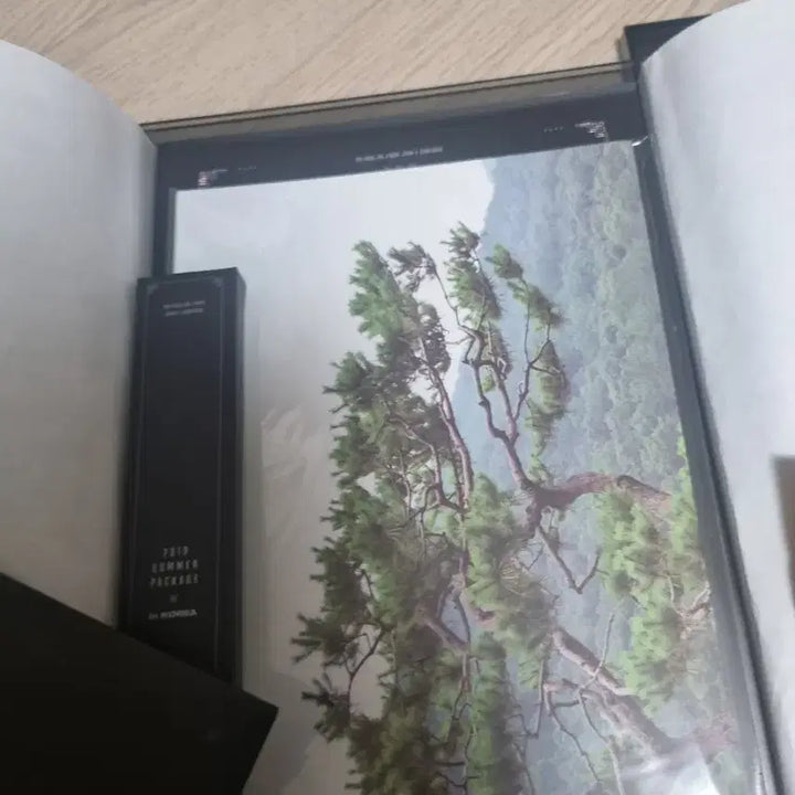 [SOLD OUT] 방탄소년단 2019 썸머패키지 윤기풀셋 양도. bts SUGA