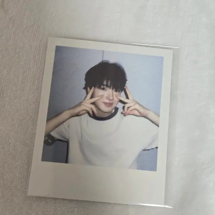 [BUNJANG] NCT WISH Sakuya Season's Greetings Polaroid / 엔시티 위시 사쿠야 시그 폴라