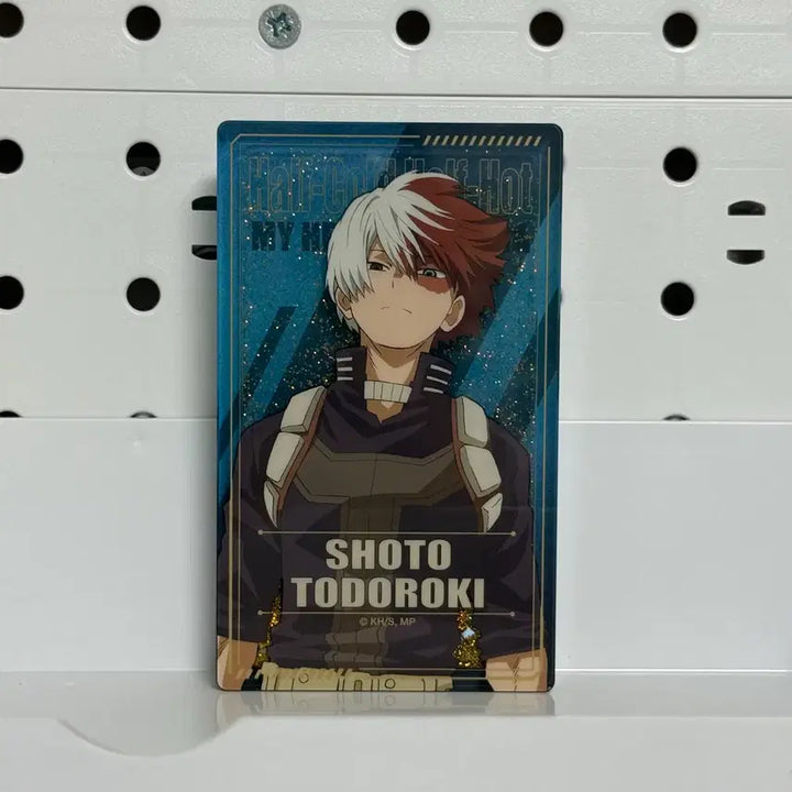 [BUNJANG] My Hero Academia Todoroki Shoto Usagi Colotta / 토도로키 쇼토 유사코롯타