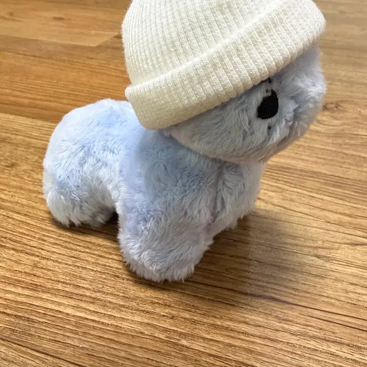 [BUNJANG] RIIZE Anton Doll / 앤톤 인형 앤토뇽