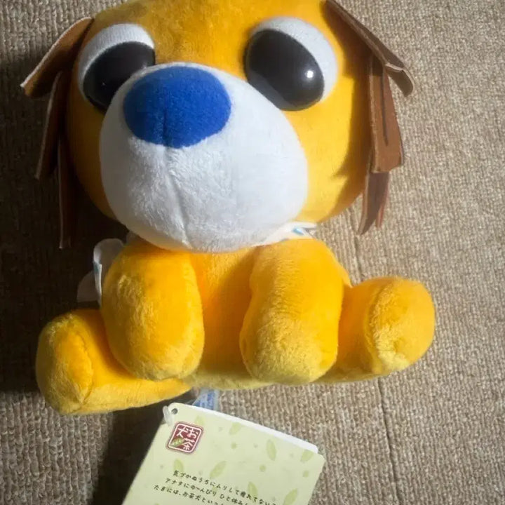 [BUNJANG] Oh!cha!ken Mucha Green Tea Dog Keyring / 오차켄  무하 녹차견 인형 키링