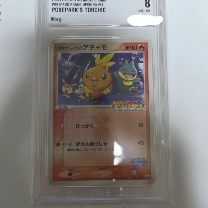 [BUNJANG] Pokemon 2005 PokePark Torchic Promo Card / 포켓몬카드 2005 포케파크 아차모 프로모