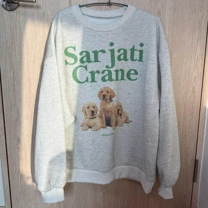 [BUNJANG] Unspecified Group Basic Sweatshirt [L] / 기모맨투맨 [L]