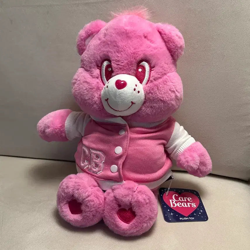 [BUNJANG] Care Bears High School Pink Rainbow Plush 27cm / 새상품) 케어베어 하이스쿨 인형 핑크 레인보우 27cm 중형