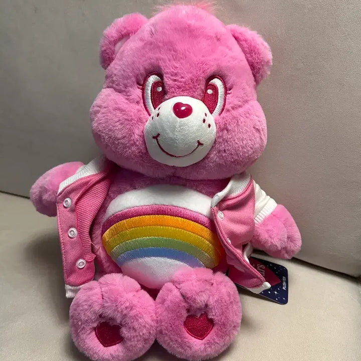 [BUNJANG] Care Bears High School Pink Rainbow Plush 27cm / 새상품) 케어베어 하이스쿨 인형 핑크 레인보우 27cm 중형