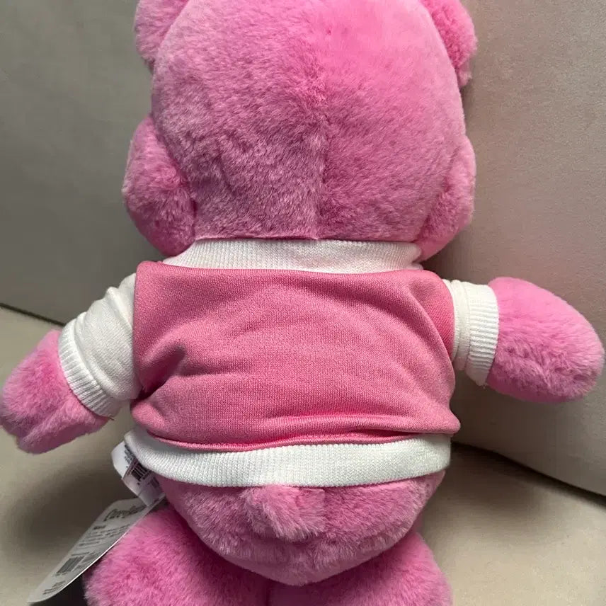 [BUNJANG] Care Bears High School Pink Rainbow Plush 27cm / 새상품) 케어베어 하이스쿨 인형 핑크 레인보우 27cm 중형