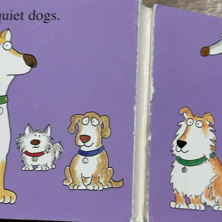 [BUNJANG] English Book 32pcs / 유아 영어책 32권