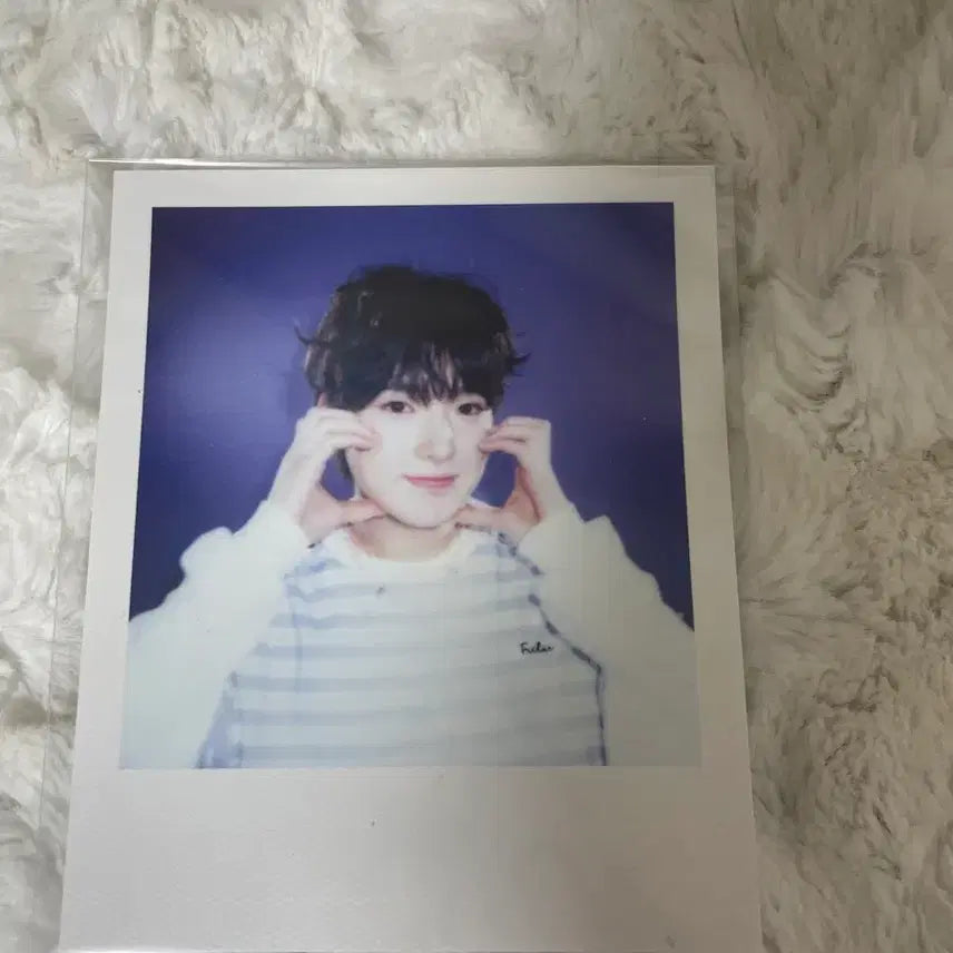 엔시티 위시 사쿠야 시그 폴라로이드