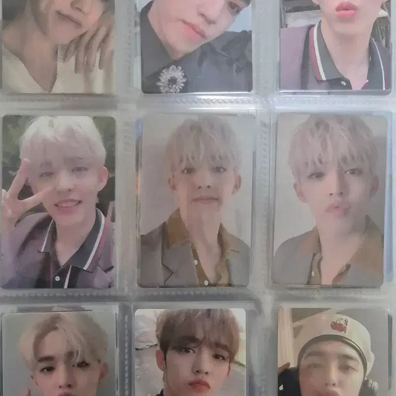 세븐틴 포카 일괄 양도