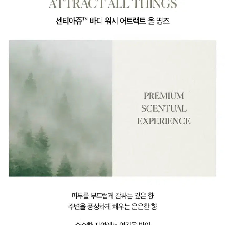 [BUNJANG] Attract All Things Body Set (Wash + Lotion) / 바니스뉴욕 어트랙트올띵즈 바디세트(워시+로션)