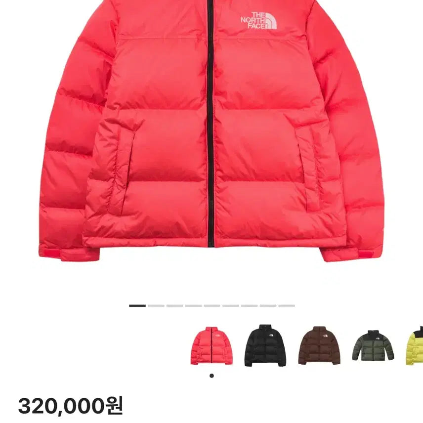 [BUNJANG] The North Face 1996 Retro Nuptse Jacket / [US S] 노스페이스 1996 레트로 눕시