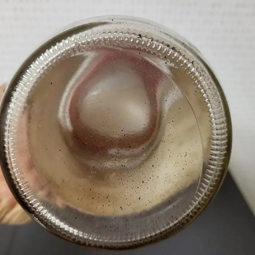 [BUNJANG] Maxim Coffee Hodori Edition / 커피 맥심