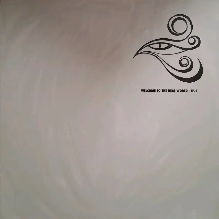 [BUNJANG] N.EX.T Shin Hae-chul LP Commemoration Album Vol. 2 &amp; 3 / N.EX.T 신해철LP 추모음반 2집,3집 MINT