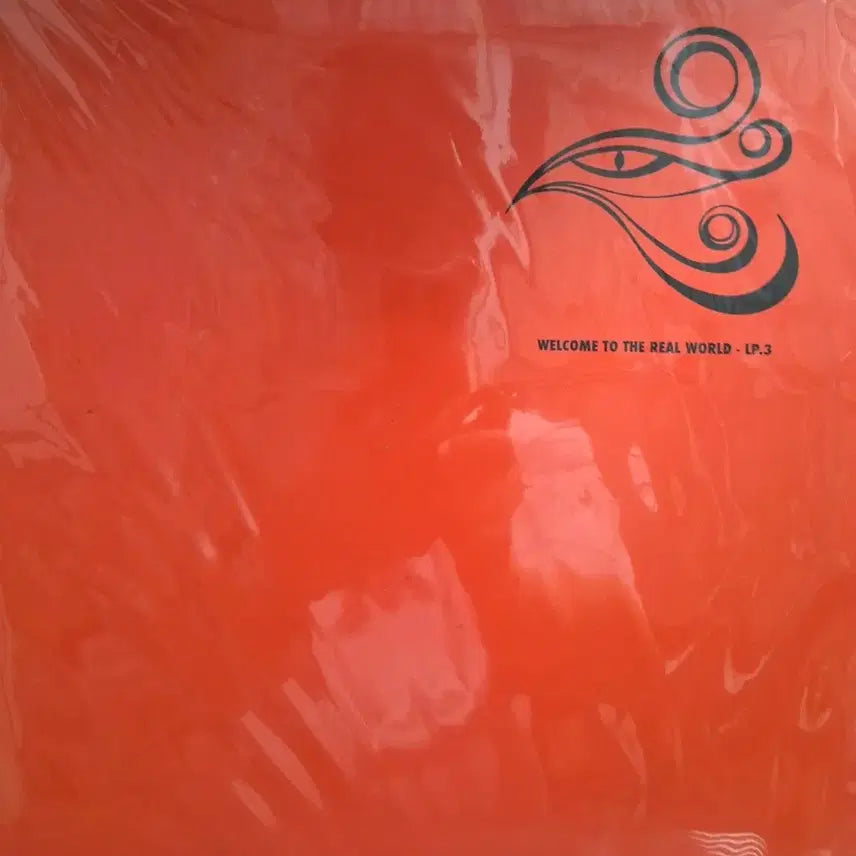 [BUNJANG] N.EX.T Shin Hae-chul LP Commemoration Album Vol. 2 &amp; 3 / N.EX.T 신해철LP 추모음반 2집,3집 MINT