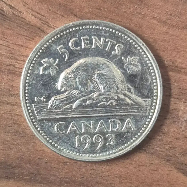 [BUNJANG] 1993 Canadian 5 Cent Coin / [EP. 357] 1993년 캐나다 5 센트 동전