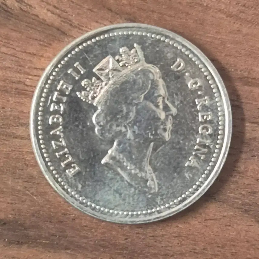 [BUNJANG] 1993 Canadian 5 Cent Coin / [EP. 357] 1993년 캐나다 5 센트 동전