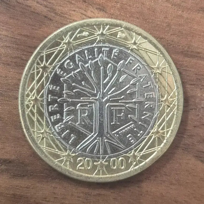 [BUNJANG] France 1 Euro Coin (2000) Antique Item / [EP. 362] 2000년 프랑스 1 유로 동전