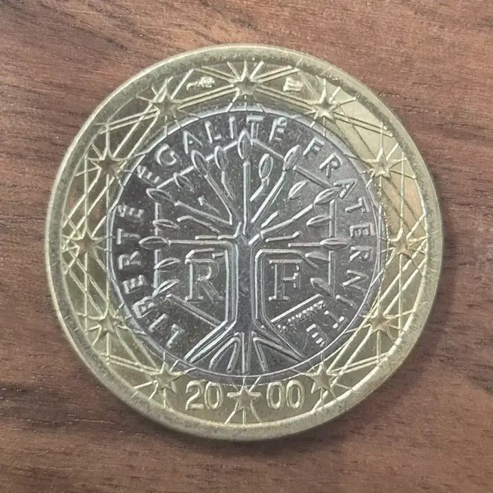 [BUNJANG] France 1 Euro Coin (2000) Antique Item / [EP. 362] 2000년 프랑스 1 유로 동전